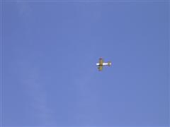 PICT1630.JPG